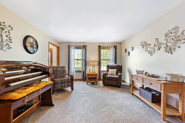 sitting room featuring carpet floors