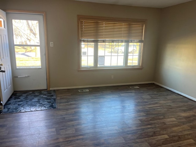 interior space with dark hardwood / wood-style flooring and a wealth of natural light