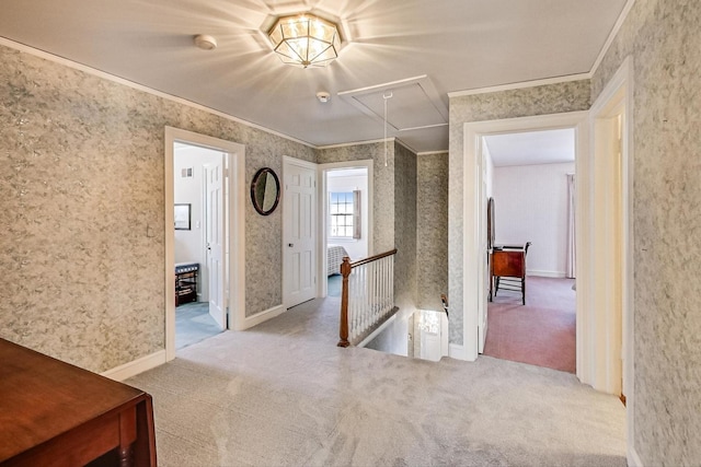 hall with ornamental molding and carpet