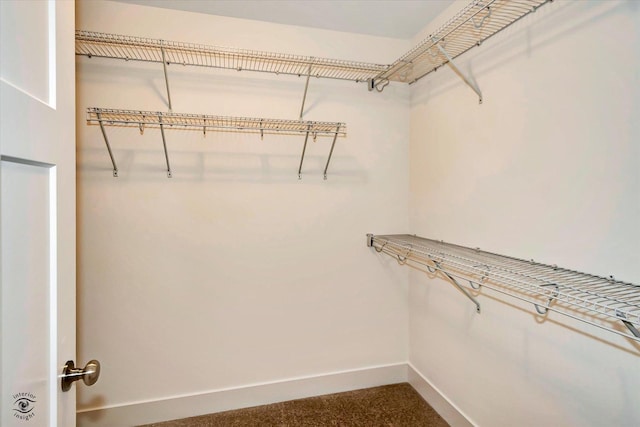 view of spacious closet