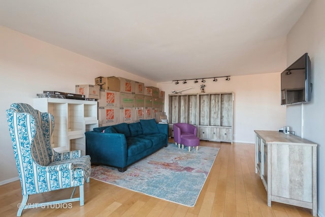 living room with wood-type flooring