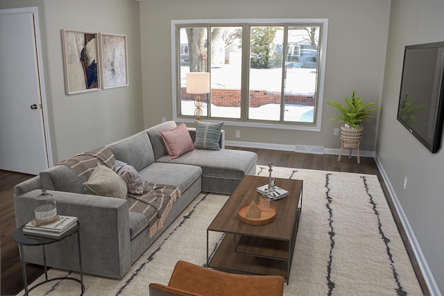 living room with wood-type flooring