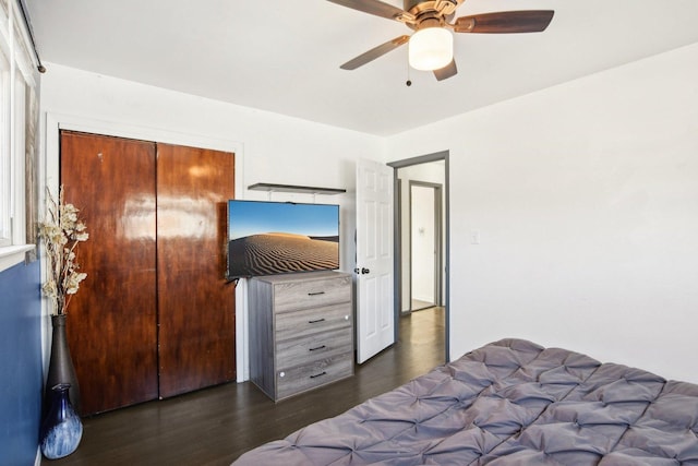 bedroom featuring dark hardwood / wood-style flooring, a closet, and ceiling fan