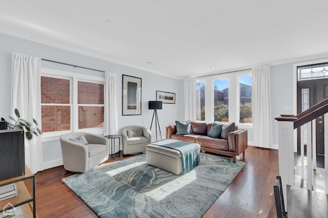 living room featuring dark wood-type flooring