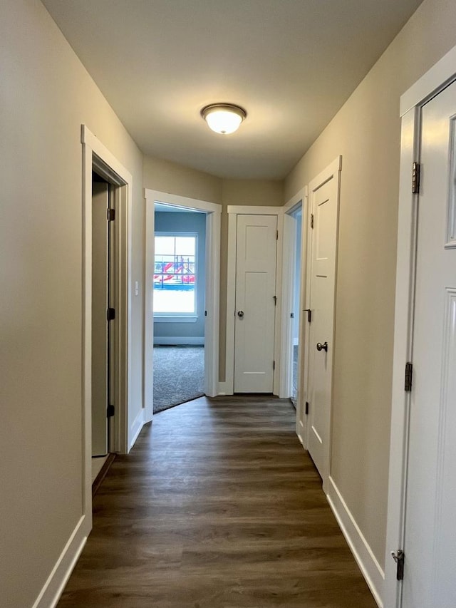 corridor with dark hardwood / wood-style floors