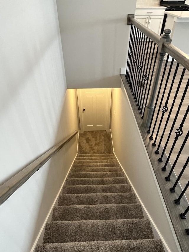 staircase featuring carpet flooring