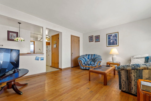 living room featuring light hardwood / wood-style floors