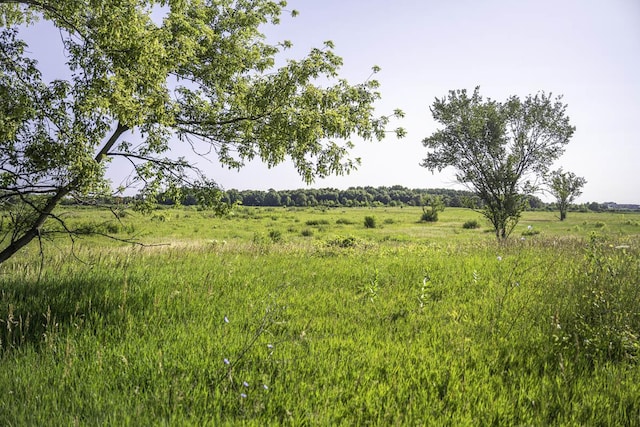 view of landscape featuring a rural view