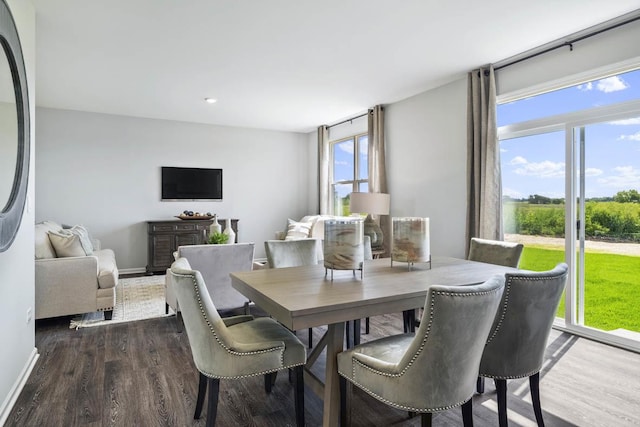 dining room with wood-type flooring