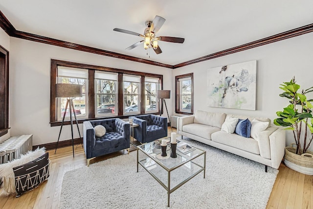 living room featuring ceiling fan, hardwood / wood-style floors, radiator, and crown molding