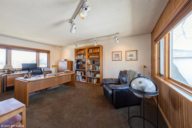 carpeted home office featuring wooden walls and a textured ceiling