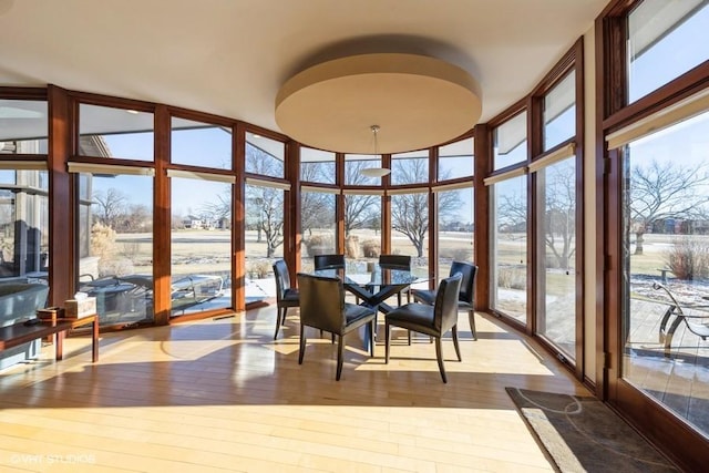 view of sunroom / solarium