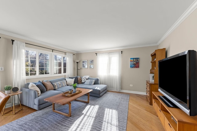 living room featuring ornamental molding and light hardwood / wood-style flooring