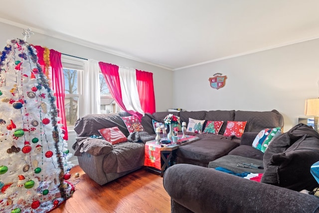 living room featuring hardwood / wood-style floors and crown molding