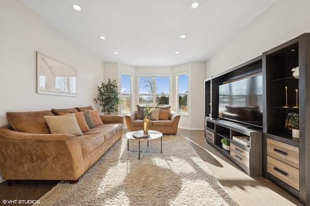 living room featuring wood-type flooring