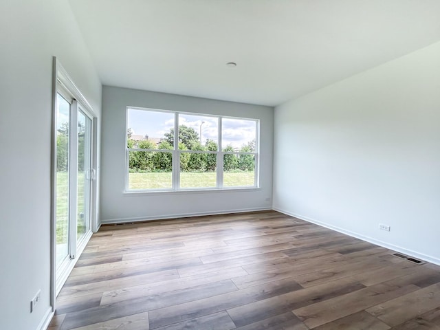 empty room featuring plenty of natural light and light wood-type flooring