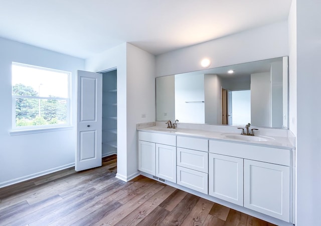 bathroom featuring vanity and wood-type flooring