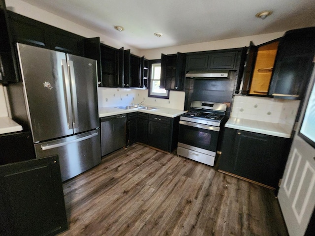 kitchen featuring appliances with stainless steel finishes, tasteful backsplash, ventilation hood, sink, and dark hardwood / wood-style floors