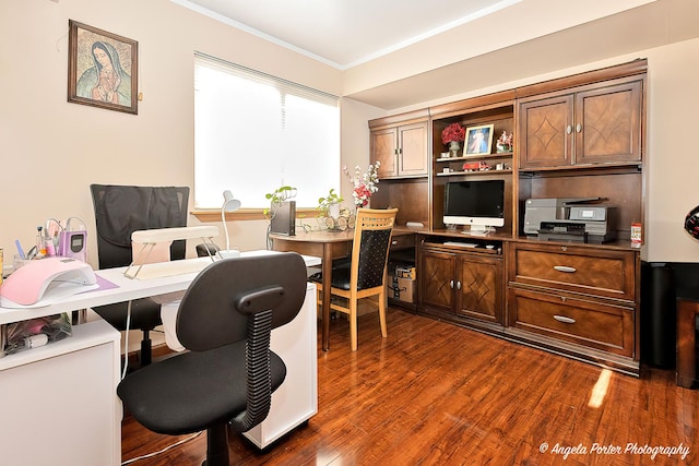 office with dark hardwood / wood-style floors and ornamental molding