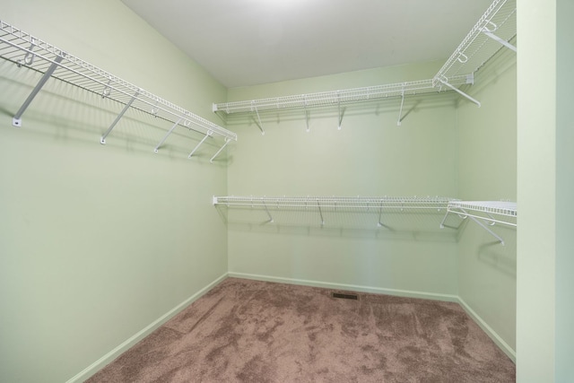 spacious closet with carpet