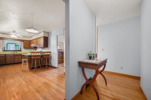 kitchen featuring a textured ceiling, light hardwood / wood-style flooring, ceiling fan, and sink