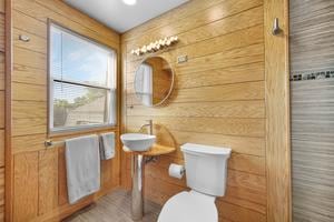 bathroom with sink, toilet, and wood walls