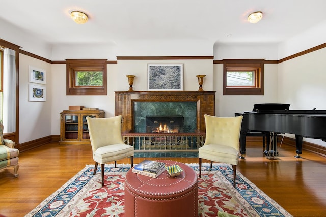 living area featuring hardwood / wood-style floors and a high end fireplace