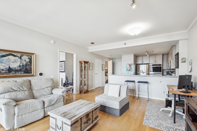 living room featuring light wood-type flooring and crown molding