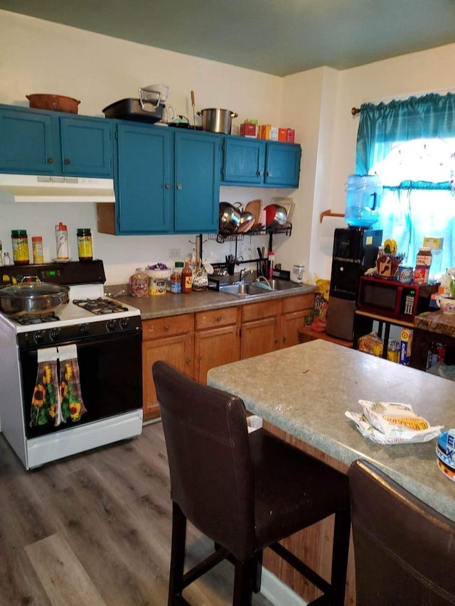 kitchen featuring dark hardwood / wood-style floors, sink, white gas range, and blue cabinets