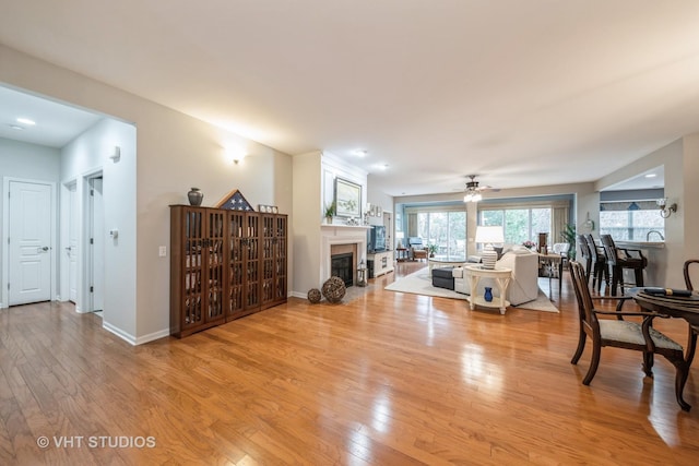 dining room with light hardwood / wood-style floors