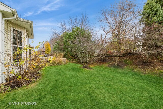 back of house featuring a yard and a patio area