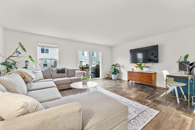 living room with dark hardwood / wood-style flooring