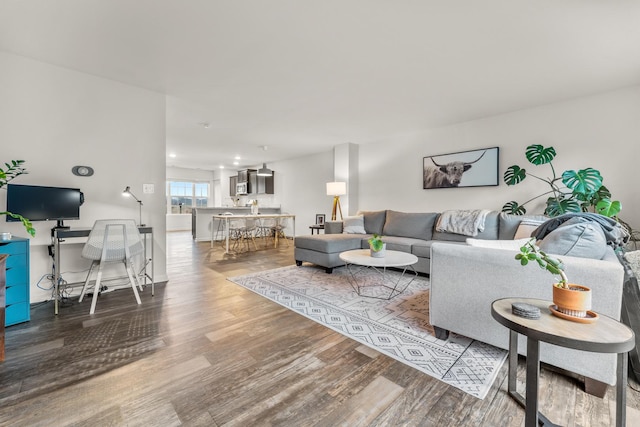 living room featuring wood-type flooring