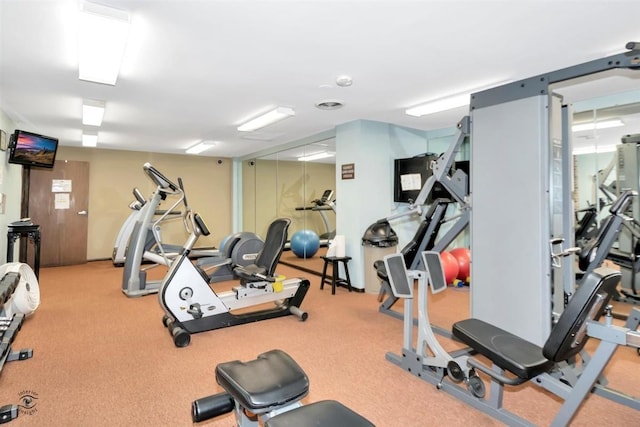 workout area featuring carpet