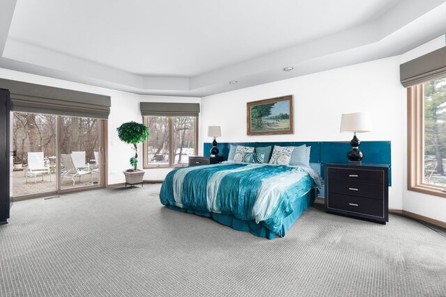 bedroom with multiple windows, access to outside, a raised ceiling, and carpet