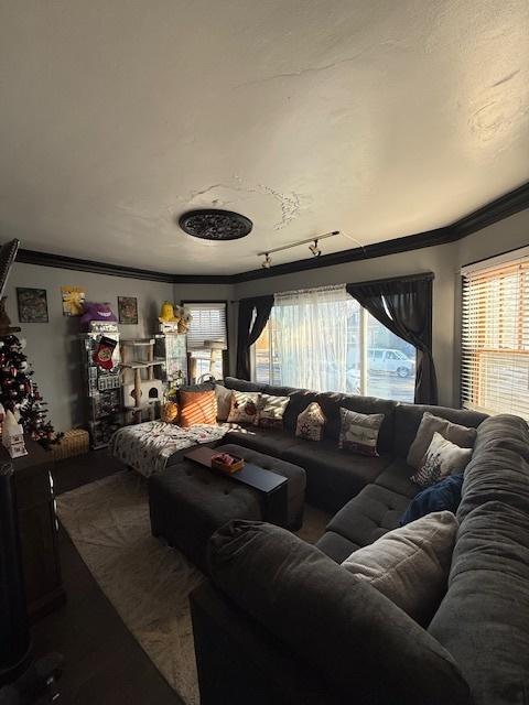 home theater featuring track lighting, a healthy amount of sunlight, and ornamental molding