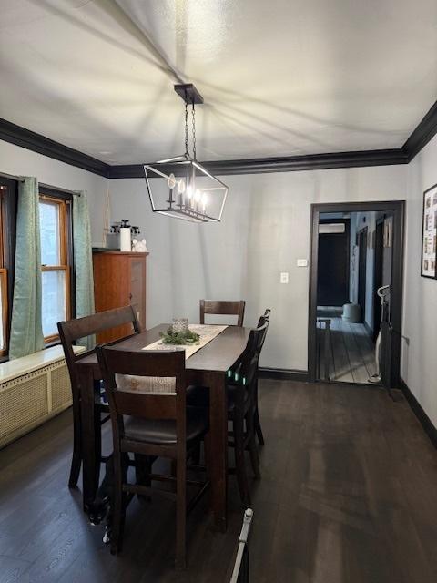 dining space featuring dark wood-type flooring and ornamental molding