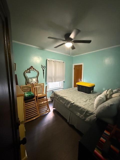 bedroom featuring dark wood-type flooring, ceiling fan, and ornamental molding