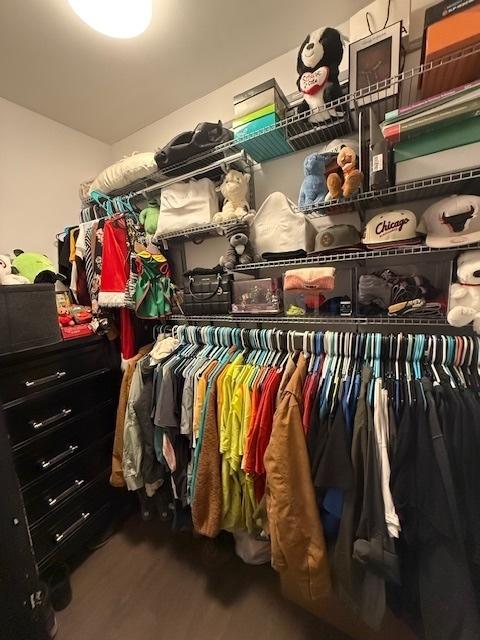 walk in closet with wood-type flooring