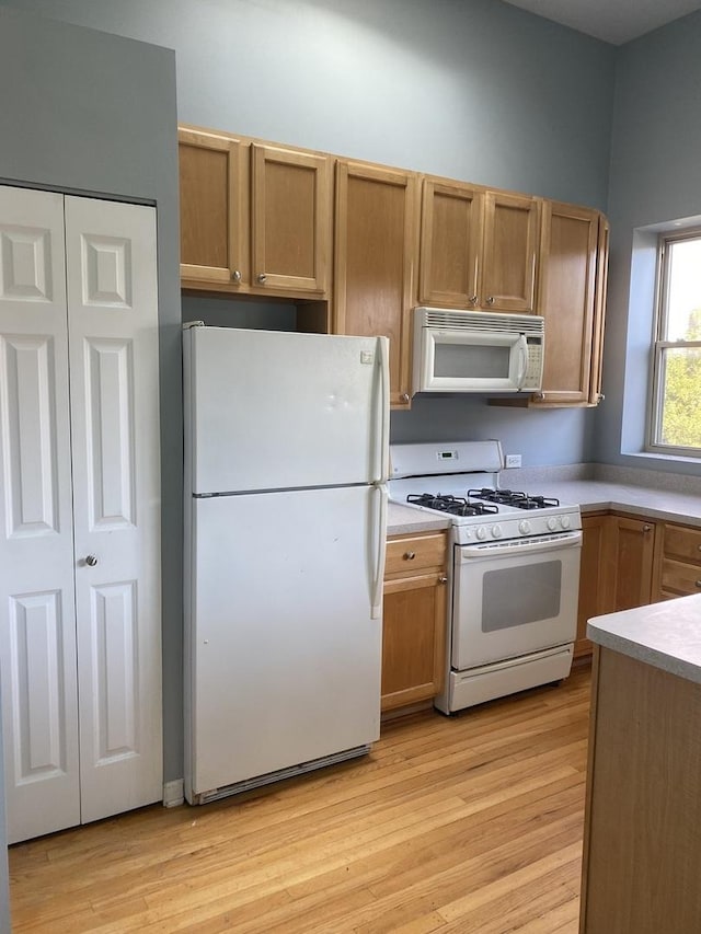 kitchen with white appliances and light hardwood / wood-style flooring