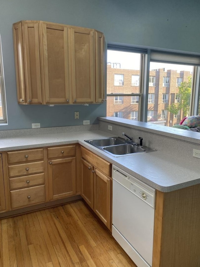 kitchen featuring a wealth of natural light, sink, white dishwasher, and light hardwood / wood-style floors