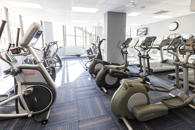 exercise room with carpet and a paneled ceiling