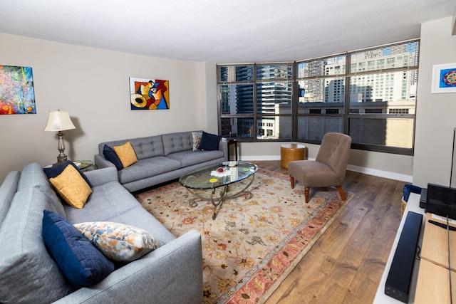 living room with dark hardwood / wood-style floors