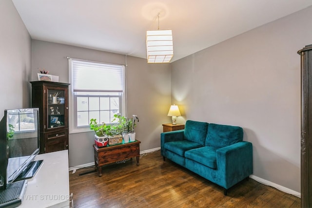 sitting room with dark wood-type flooring