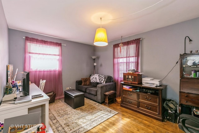 living room with light wood-type flooring