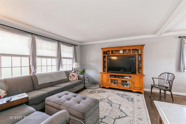 living room with crown molding and dark wood-type flooring