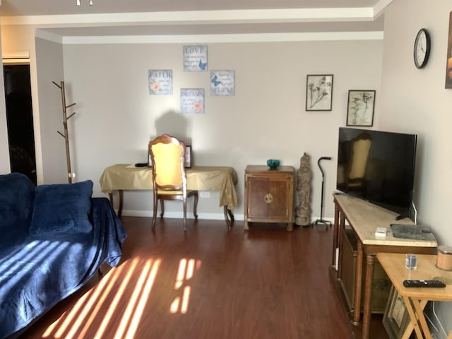 living room featuring dark hardwood / wood-style flooring