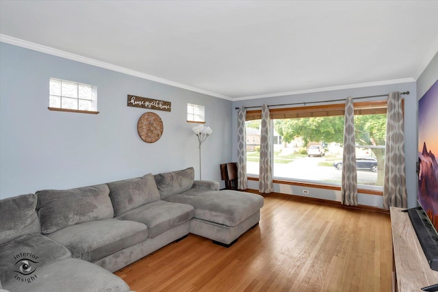 living room with light wood-type flooring and crown molding