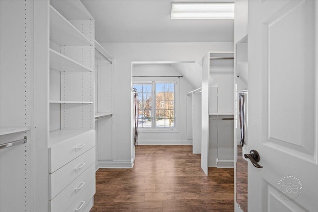 walk in closet featuring dark hardwood / wood-style flooring and vaulted ceiling