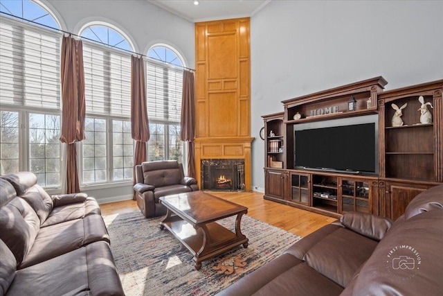 living room featuring a high end fireplace and hardwood / wood-style floors